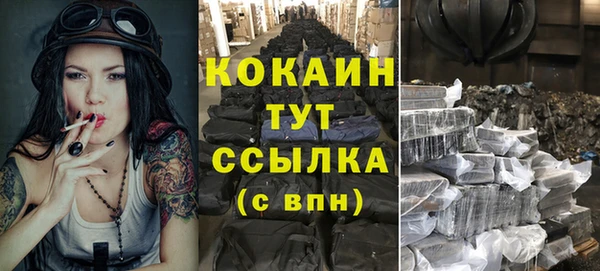 индика Аркадак