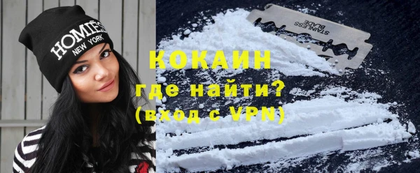 индика Аркадак